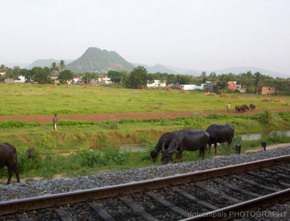 indian-railways85