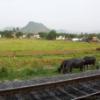 indian-railways85