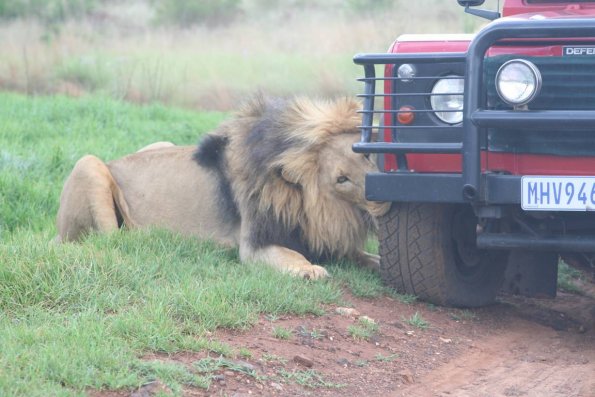image004