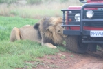 image004