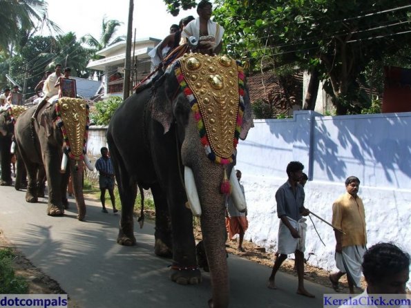 Guruvayur-Padmanabhan _10_