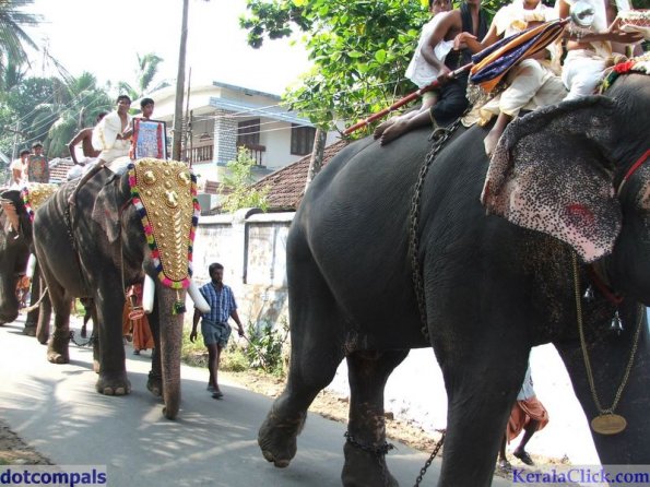 Guruvayur-Padmanabhan _11_