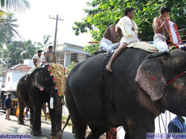 Guruvayur-Padmanabhan _13_