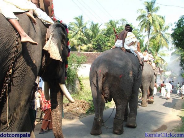Guruvayur-Padmanabhan _16_