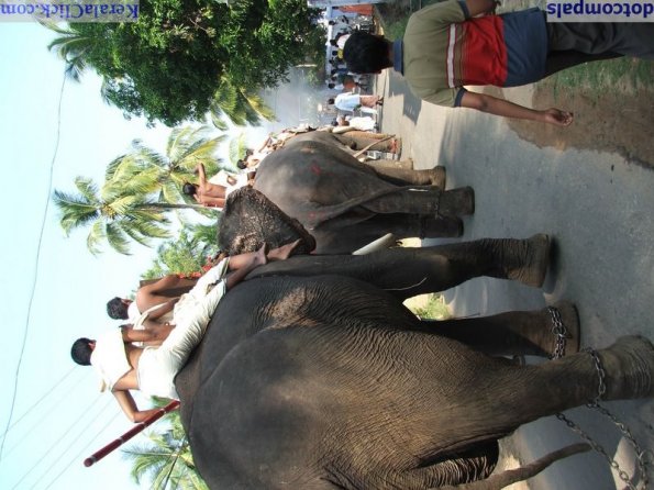 Guruvayur-Padmanabhan _17_