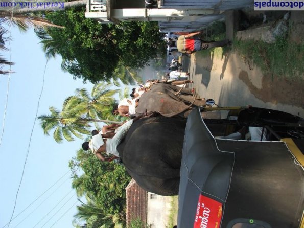 Guruvayur-Padmanabhan _18_