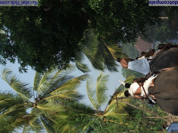Guruvayur-Padmanabhan _19_