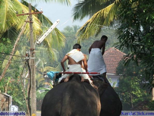 Guruvayur-Padmanabhan _20_