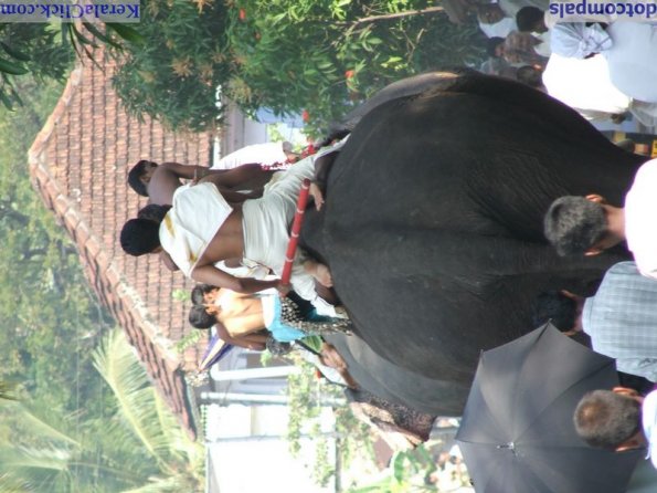 Guruvayur-Padmanabhan _22_
