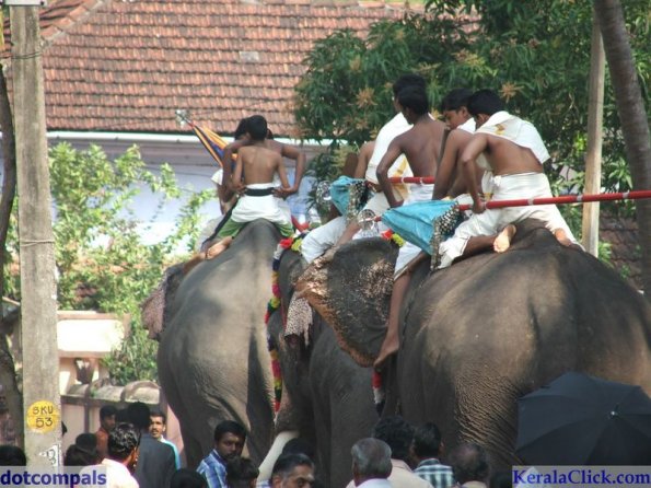 Guruvayur-Padmanabhan _23_