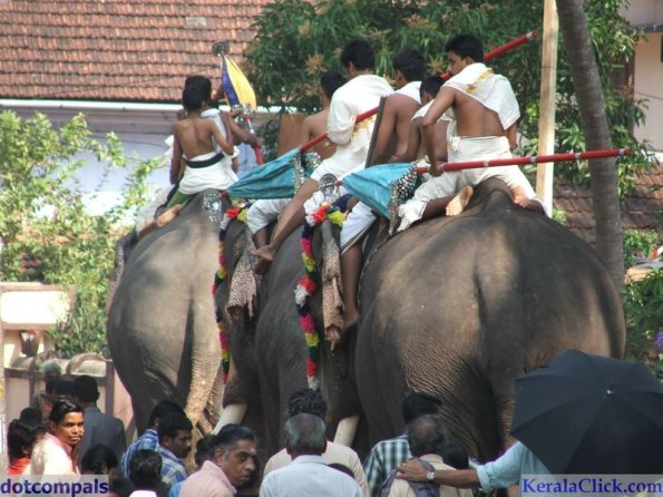 Guruvayur-Padmanabhan _24_