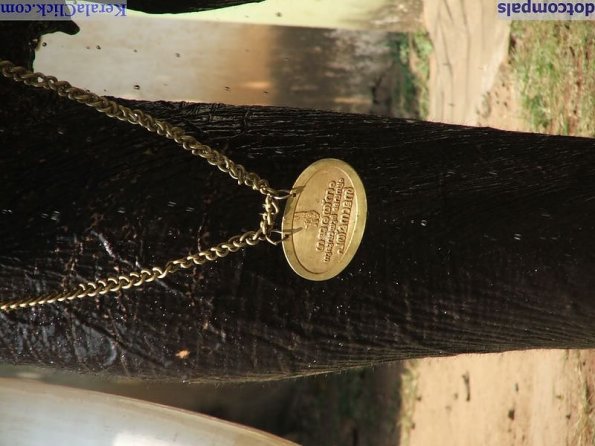 Guruvayur-Padmanabhan _28_