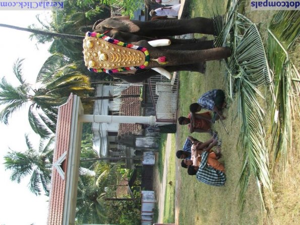 Guruvayur-Padmanabhan _2_