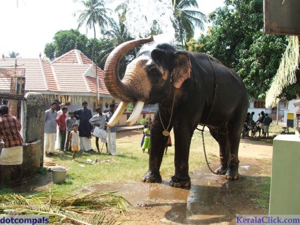 Guruvayur-Padmanabhan _49_