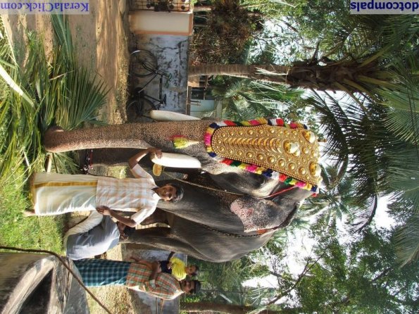 Guruvayur-Padmanabhan _4_
