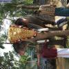 Guruvayur-Padmanabhan _58_