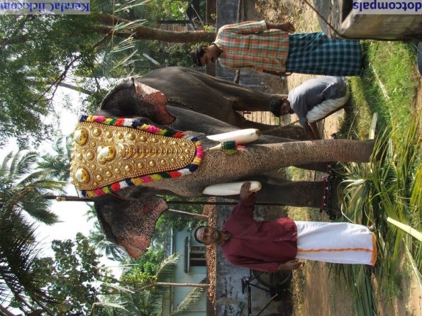 Guruvayur-Padmanabhan _58_