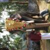 Guruvayur-Padmanabhan _59_