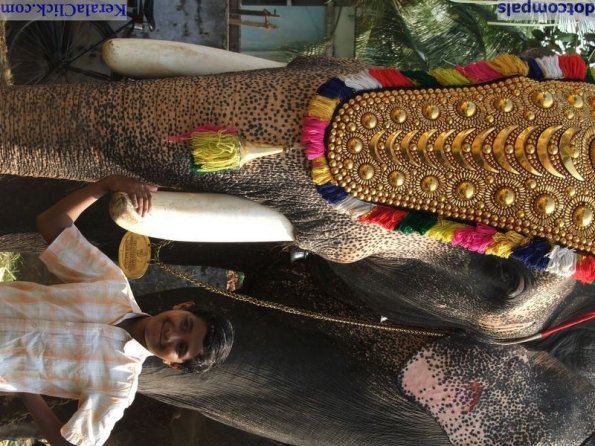 Guruvayur-Padmanabhan _5_