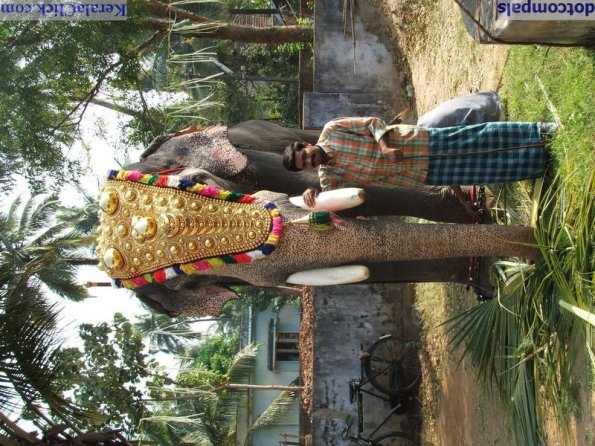 Guruvayur-Padmanabhan _60_