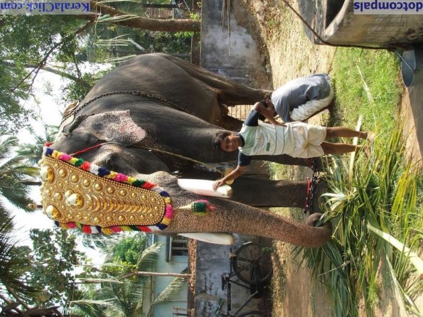 Guruvayur-Padmanabhan _61_
