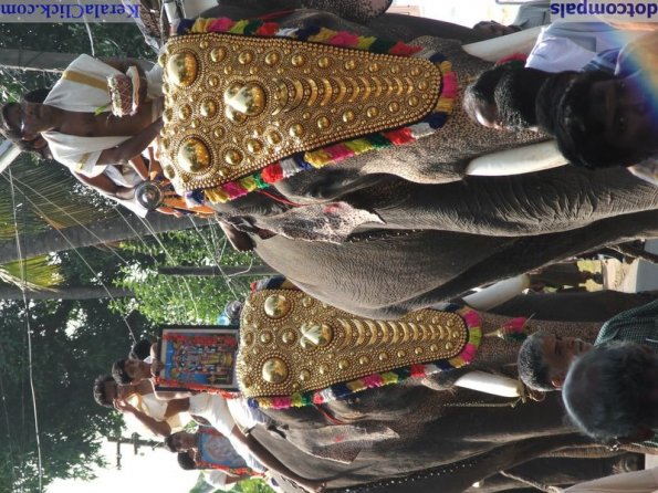 Guruvayur-Padmanabhan _7_