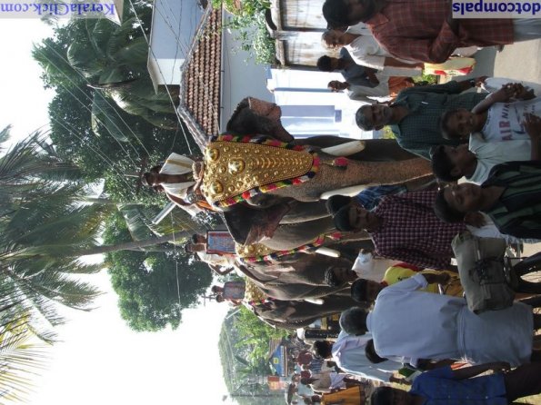 Guruvayur-Padmanabhan _8_