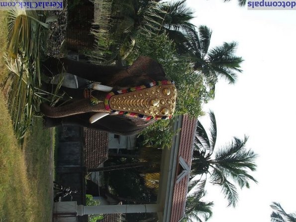 Guruvayur-Padmanabhan