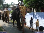 Guruvayur-Padmanabhan _10_