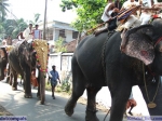 Guruvayur-Padmanabhan _11_