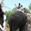 Guruvayur-Padmanabhan _15_