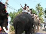 Guruvayur-Padmanabhan _15_