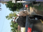 Guruvayur-Padmanabhan _18_