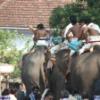 Guruvayur-Padmanabhan _23_