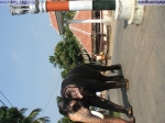 Guruvayur-Padmanabhan _54_