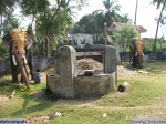Guruvayur-Padmanabhan _57_
