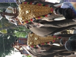 Guruvayur-Padmanabhan _7_