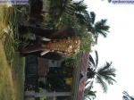 Guruvayur-Padmanabhan