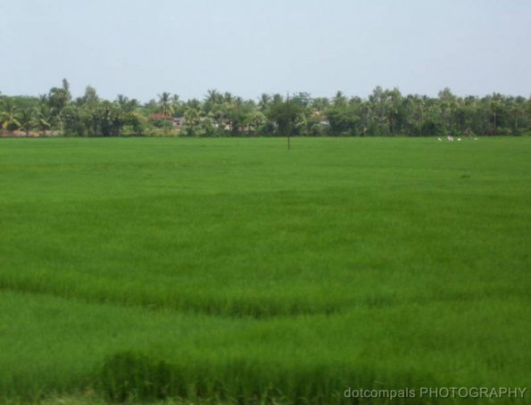 indian-railways46