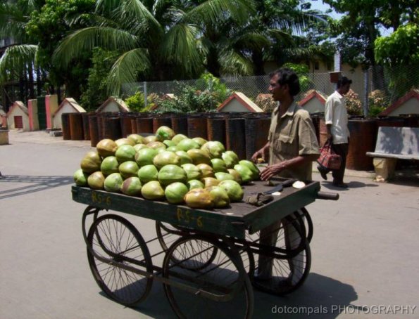 indian-railways64