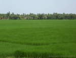 indian-railways46