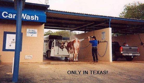 texas