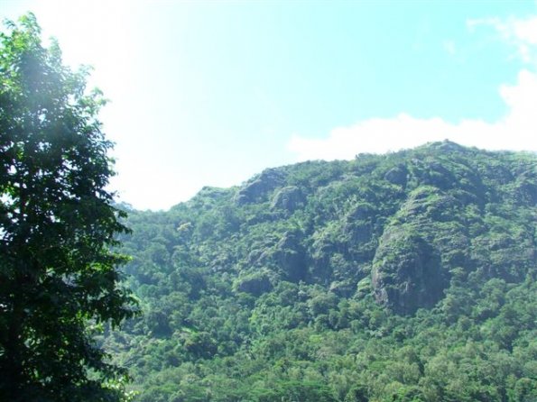 DSCF1442