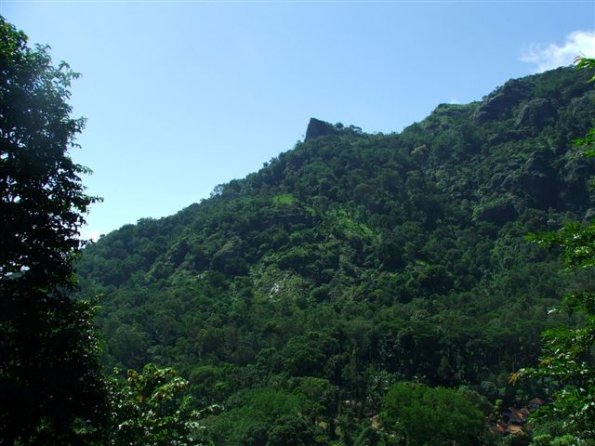 DSCF1443