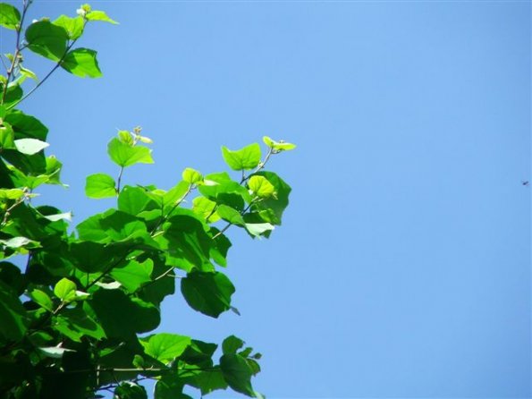 DSCF1458