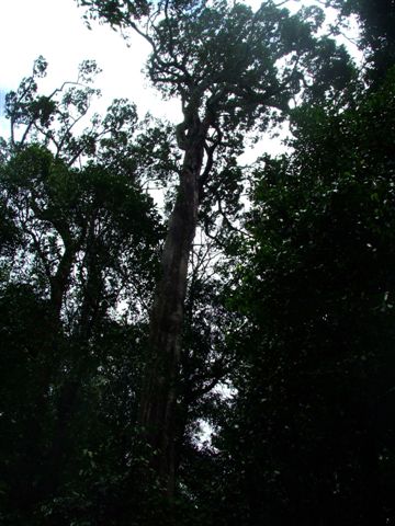 DSCF1490