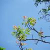 DSCF1495