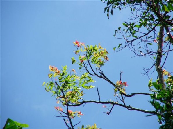 DSCF1495