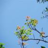 DSCF1496