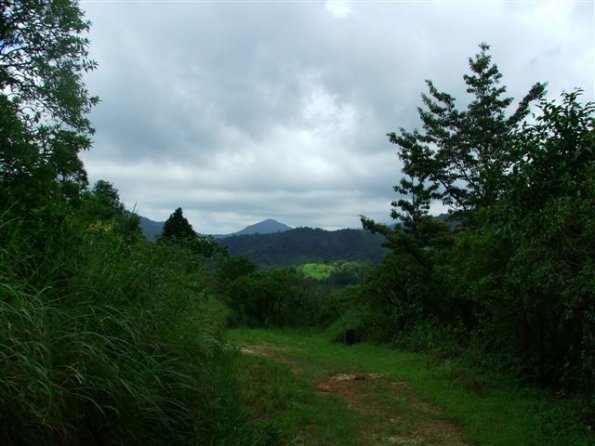 DSCF1522